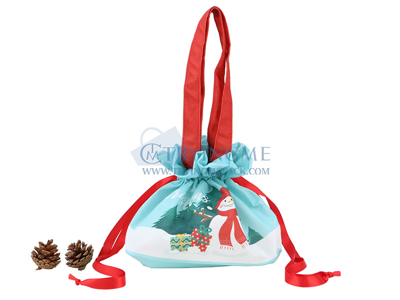 Custom RPET non-woven bags — reference design