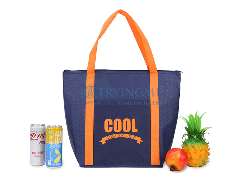 Zipper insulated bags — reference design